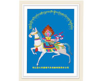 玛沁县大武德尊汽车运输有责任限公司